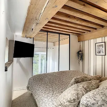 Superbe Duplex En Hyper Centre A Deux Pas De La Croix Rousse Et Proche Commodite Appartamento Caluire-et-Cuire