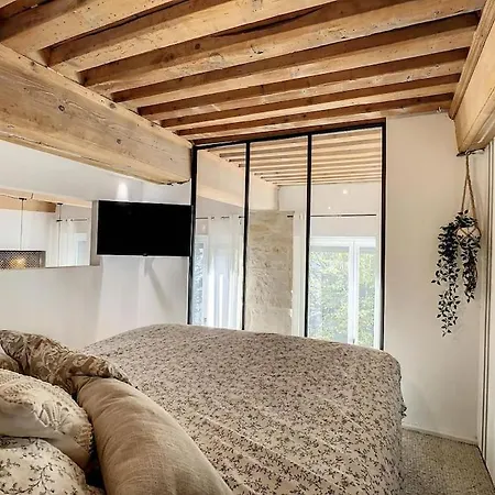 Superbe Duplex En Hyper Centre A Deux Pas De La Croix Rousse Et Proche Commodite * Caluire-et-Cuire