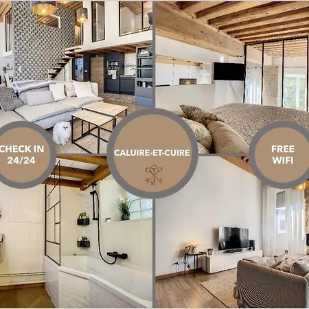 Superbe Duplex En Hyper Centre A Deux Pas De La Croix Rousse Et Proche Commodite Appartamento